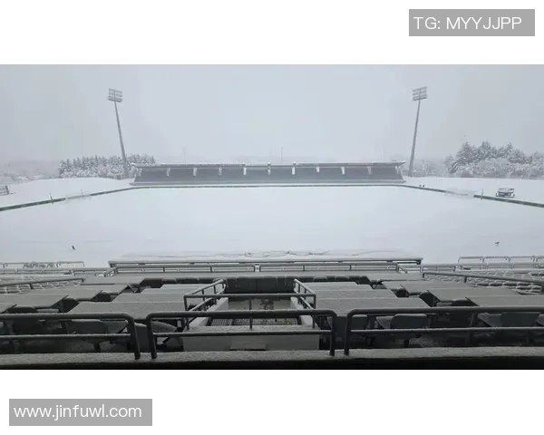 冰岛对北爱尔兰足球比赛直播信息及精彩回顾分析