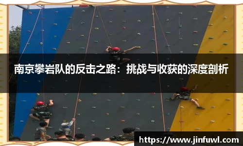 南京攀岩队的反击之路：挑战与收获的深度剖析